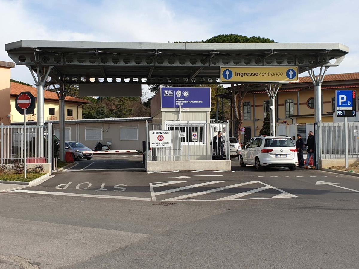 Il Giardino Di Zio Bed & Breakfast Pisa Bagian luar foto